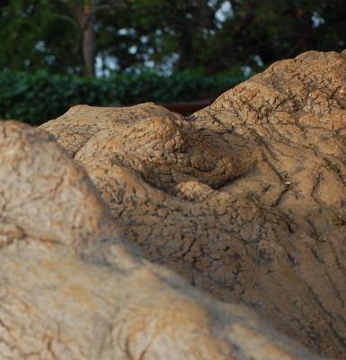 Прикрепленное изображение: 0008cr.jpg